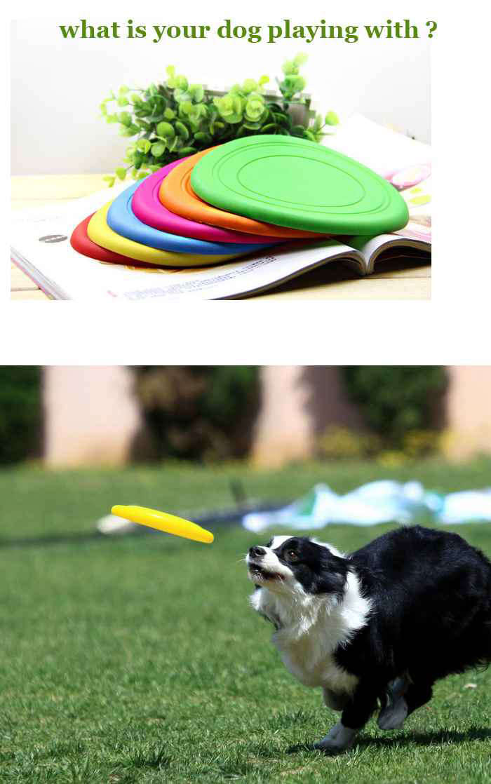 Wholesale Six Colors Unbreakable Silicone Pet Frisbee