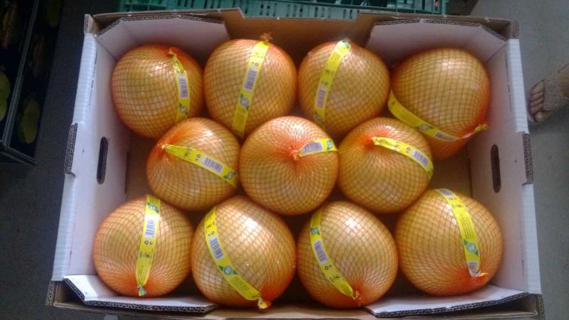 Exported Standard Quality of Fresh Honey Pomelp