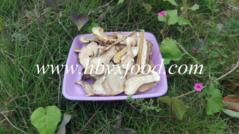 2016 Good Dried Boletus Edulis Price, Porcini Mushrooms for Sale