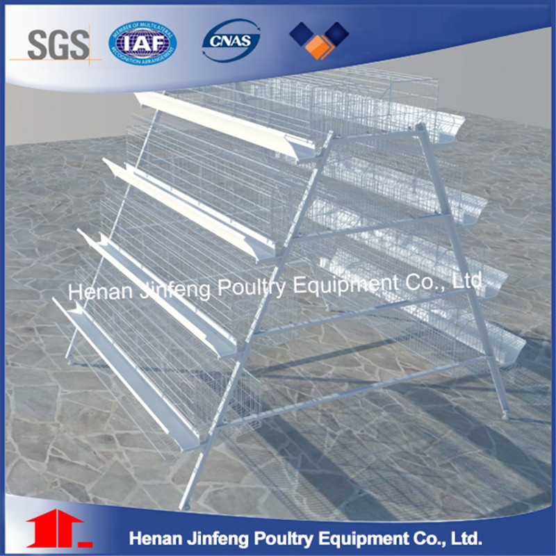 a and H Type Battery Poultry Cages for Longer Use