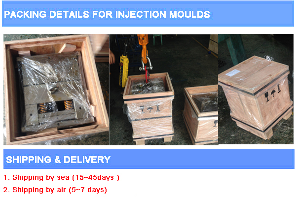 ABS Plastic Material Injection Box Mould