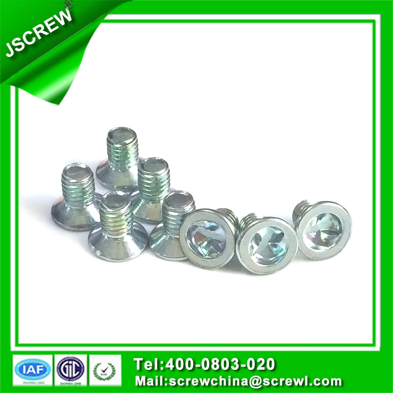 Type S Flat Head Stainless Steel Anti-Theft Bolt