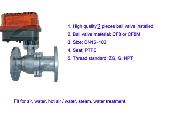 Motorised 2PC Flanged Floating Ball Valve Wtih Taiwan Electric Actuator