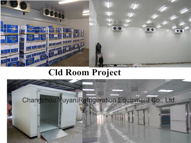 Walk in Cold Room/Freezer Room/Chiller Room