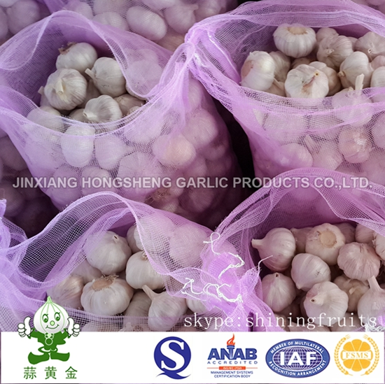 20kgs Doubale Mesh Bag Normal White Garlic