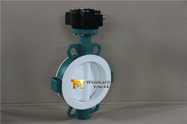 PTFE Coated Wafer Type Butterfly Valve with Ce ISO Wras Approved (CBF04-TA01)