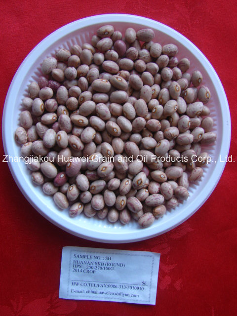 Huanan Skb Speckled Kidney Bean (ROUND)