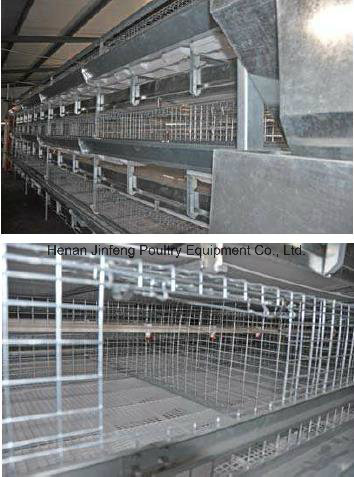 H Type Automatic Broiler Chicken Birds Poultry Cage