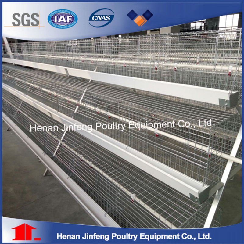 Automatic Poultry Farm Equipment with Prefab House