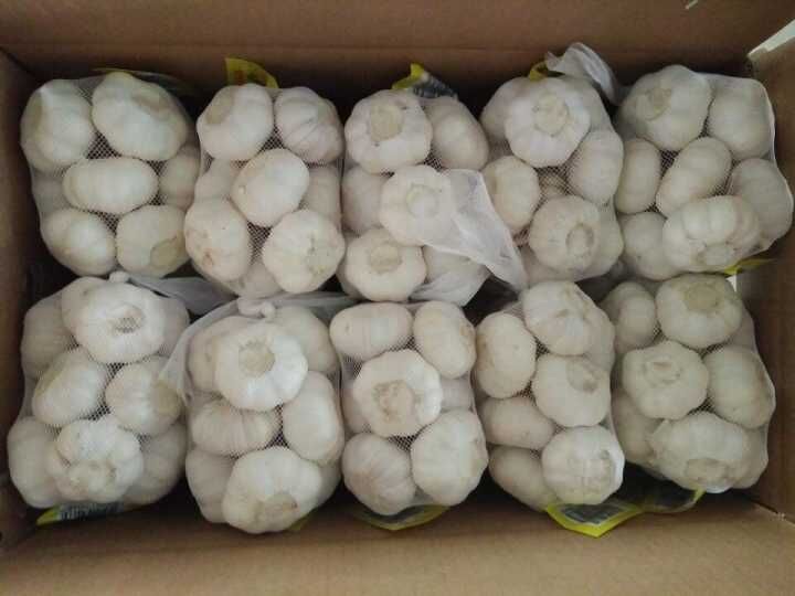 5.0cm and up Small Packing Pure White Garlic