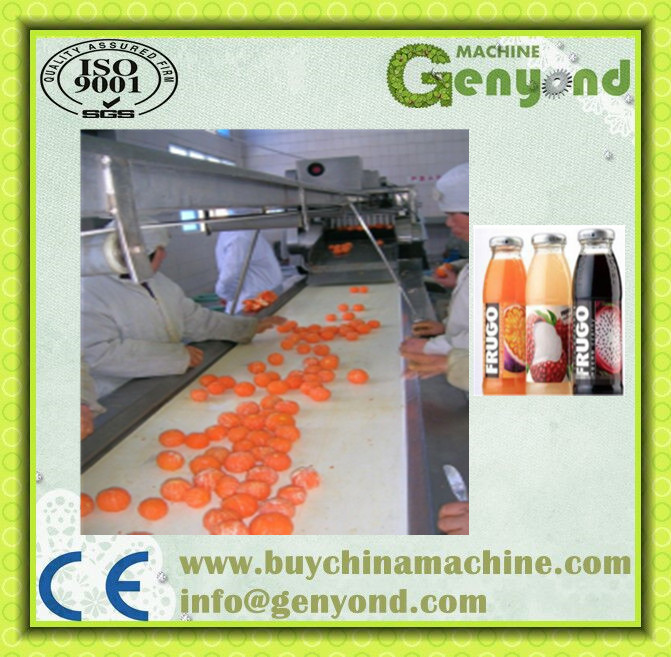 Turnkey Project Orange Apple Juice Processing Plant