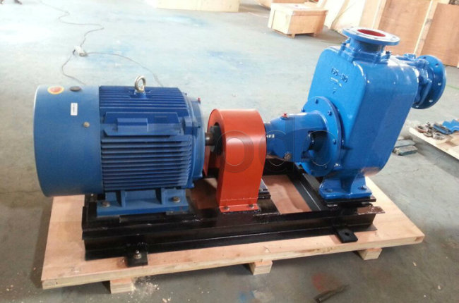 50m Height Self Priming Pump with Base Plate