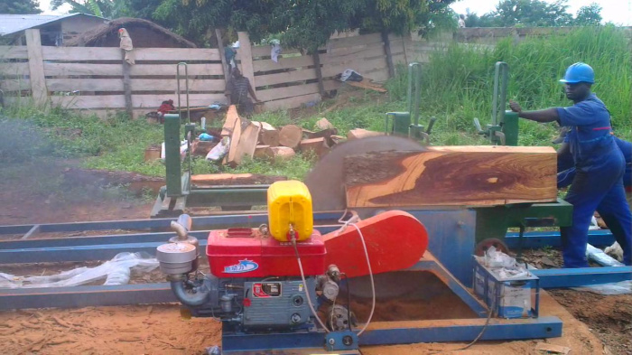 Wood Circular Saw with Carriage Wood Cutting Sawmill