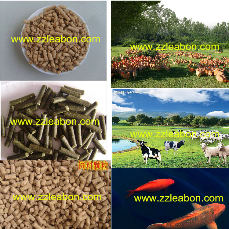 500kg/H Animal Feed Pellet Production Line