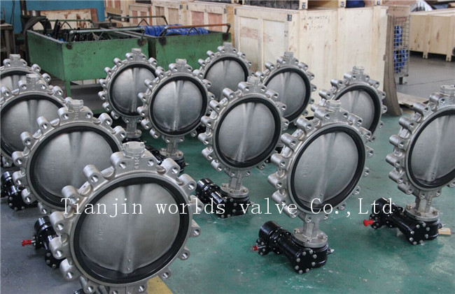 Ss316L Lug Handle Butterfly Valve with Ce ISO Wras Approved (CBF01-TL01)