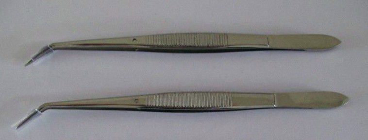 Euro-Market! ! ! 2016 Best Selling Stainless Steel Dental Tweezer