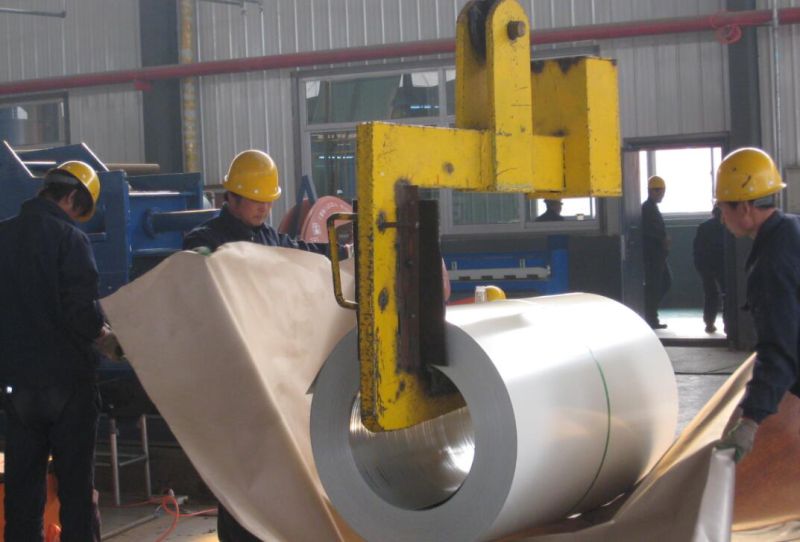 Steel Sheets, White Prepainted Galvanized Steel Coils