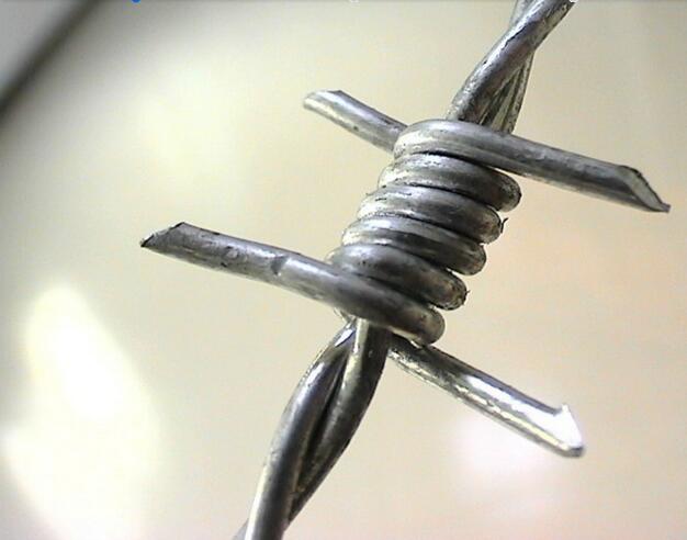 Hot-DIP Galvanized Barbed Wire Factory Price