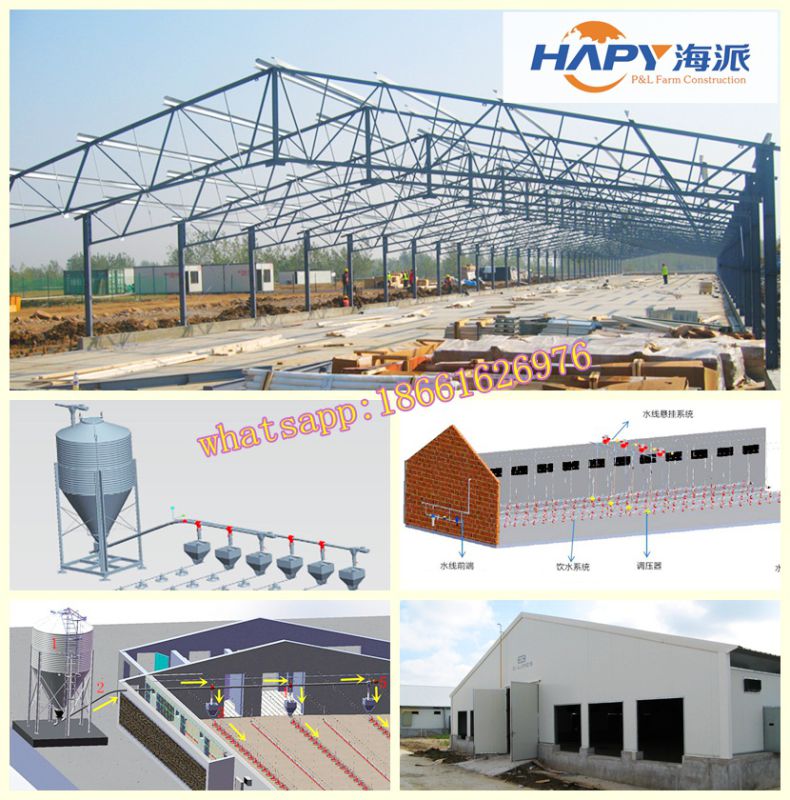 Poultry House Construction in Livestock with Automatic Equipment