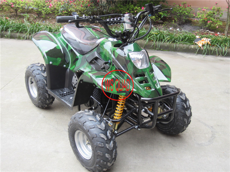 500W, 800W Electric ATV, Electric Quad, Electric Mini ATV, Electric Mini Quad, Electric 4 Wheeler Et-Eatv003