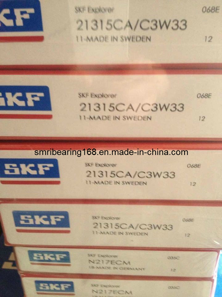 Sweden Cylindrical Roller Bearing (NU1036/KECM)