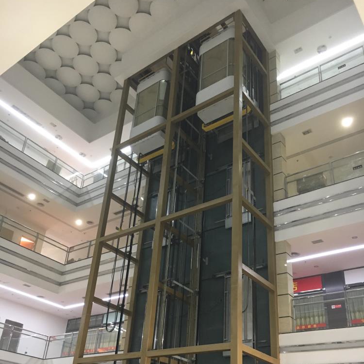 1000kg Glass Sightseeing Capsule Small Elevator