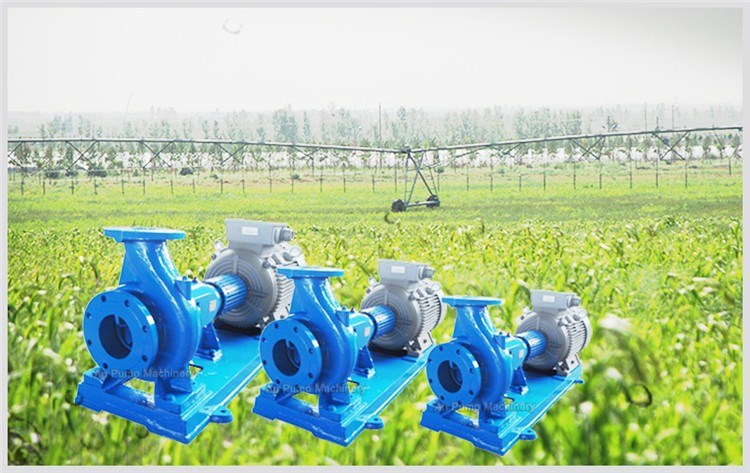 Electric Qi Centrifugal Horizontal End Suction Clean Water Pump