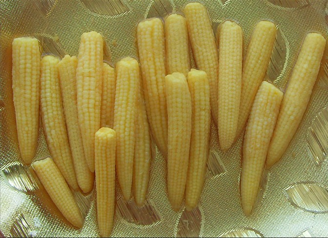 Ready to Eat Delicious Canned Baby Corn