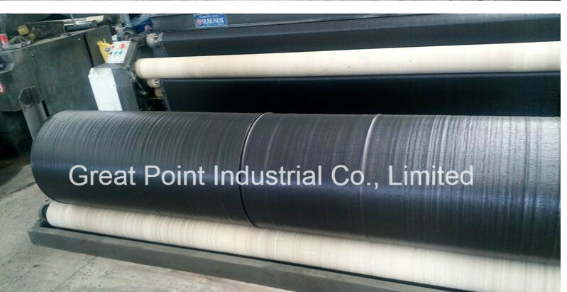 Plastic Woven Geotextile for Dam