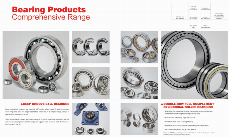 Deep Groove Ball Bearing with Dust Cover& Seal Ring