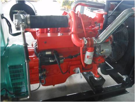 High Quality Gas Engine Lyl8.9g-G176