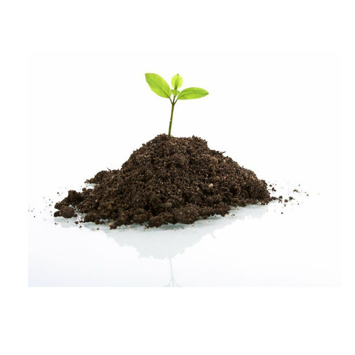 Seaweed Microbial Organic Fertilizer with Plant Growth Regulator