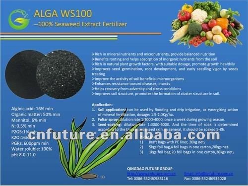 Organic Water Soluble Fertilizer Seaweed Extract