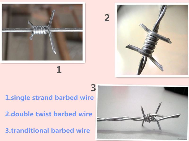 ISO9001 Factory Galvanized /PVC Coated Barbed Wire Fence