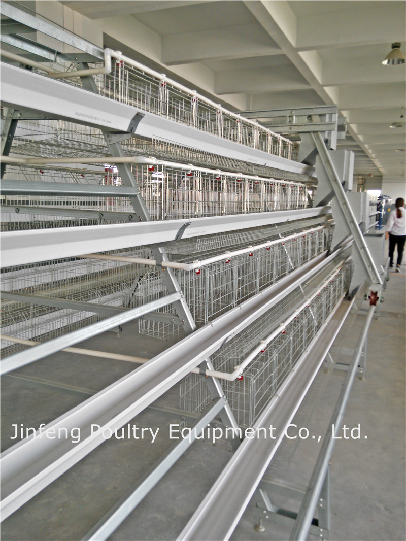 New Design /Automatic Poultry Farming Equipment for Layer Chicken Cage
