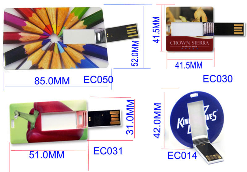 Free Logo Customized En Drive USB Flash Drive (EC002)