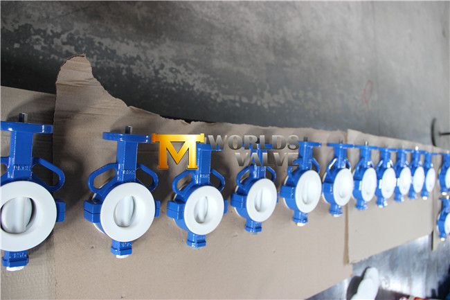 Wafer Type Butterfly Valve with PTFE Liner