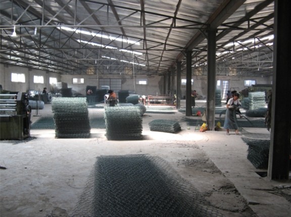 Hexagonal Wire Mesh