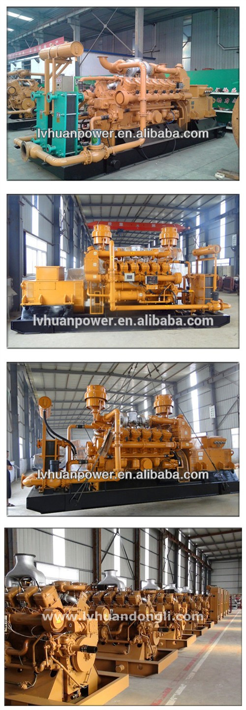 500kw 1MW 2MW Gas Power Plant Natural Gas LPG Generator