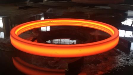 Profiled Ring Rolling for Bearing Outer Ring