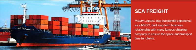 Professional Logistics Shipping/Shipping Service From China (Shipping Service)