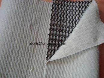 HDPE Plastic Geogrid Net with Two Sides Geotextile