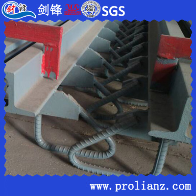 High Performance Strip Seal Expansion Joint to Thailand