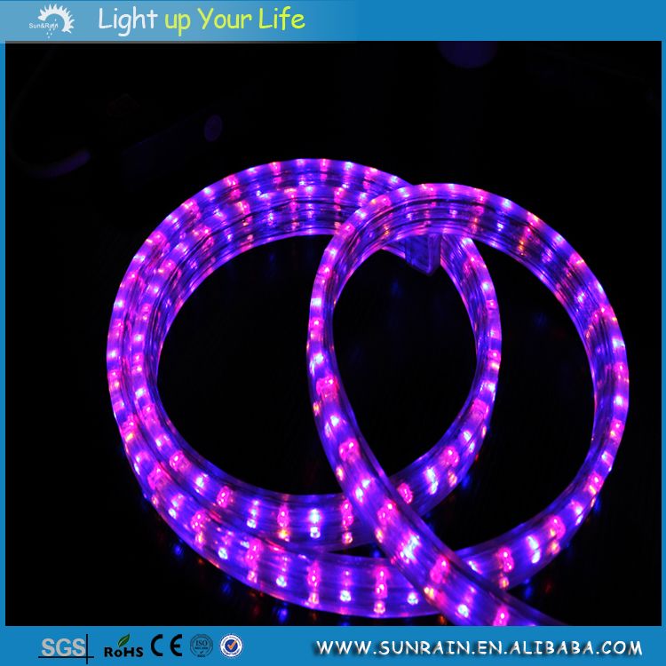 LED Rope Light (Flat 3 Wires) (SRFL-3W)