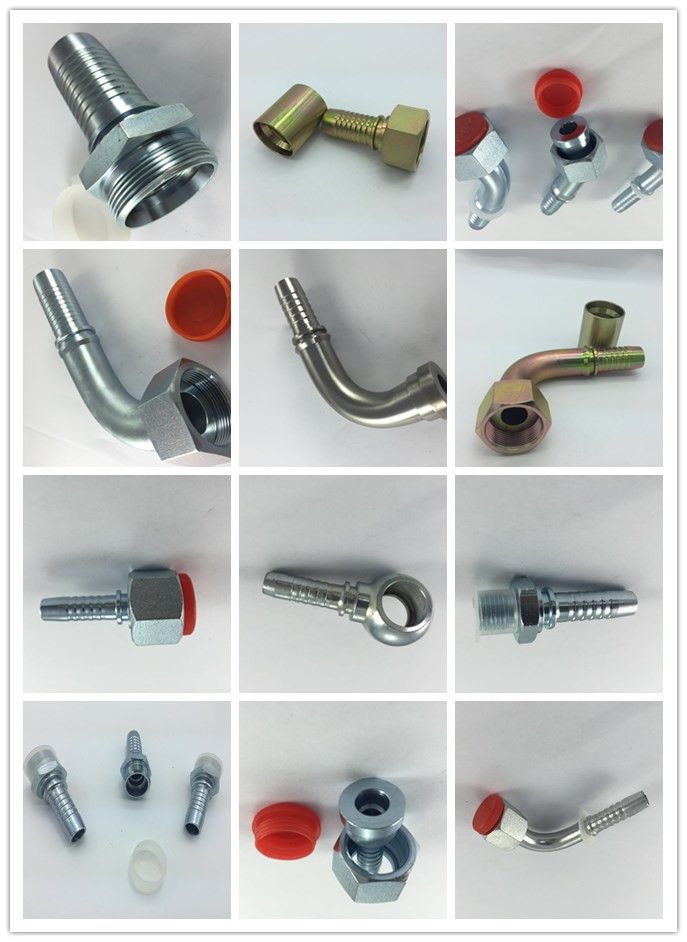 Metric Female Flat Seat Hydraulic Stainless Steel Pipe Fitting (20211.20211T)