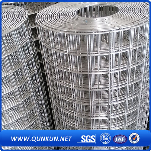 Galvanized Welded Wire Mesh