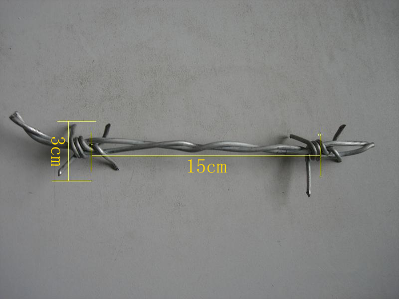 Galvanized Barbed Wire (factory ISO9001)