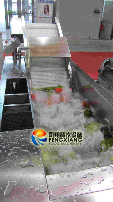 Wa-1000 Iceberg Lettuce Washing Cleaning Machine Equipment (CE Certified)