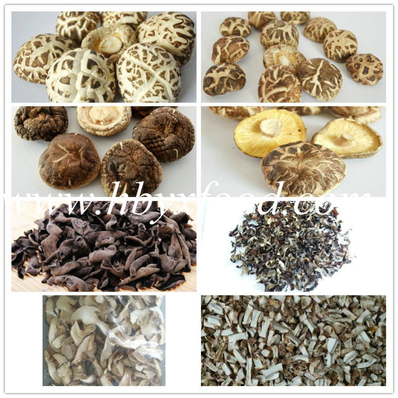 Sliced Dried Shiitake Mushroom with Different Sizes