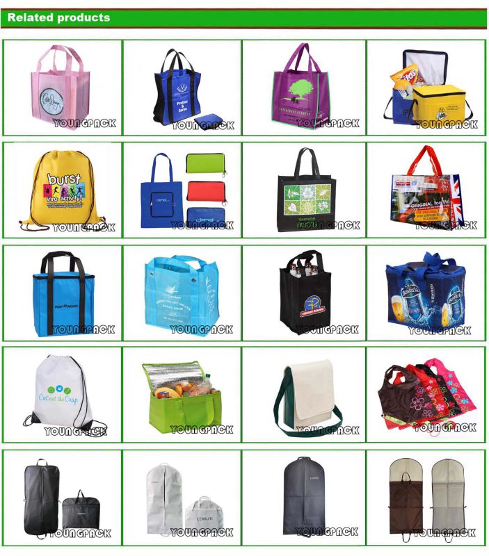 Custom Reusable Non-Woven Thermal Insulated Ice Picnic Lunch Cool Cooler Bag for Promotional